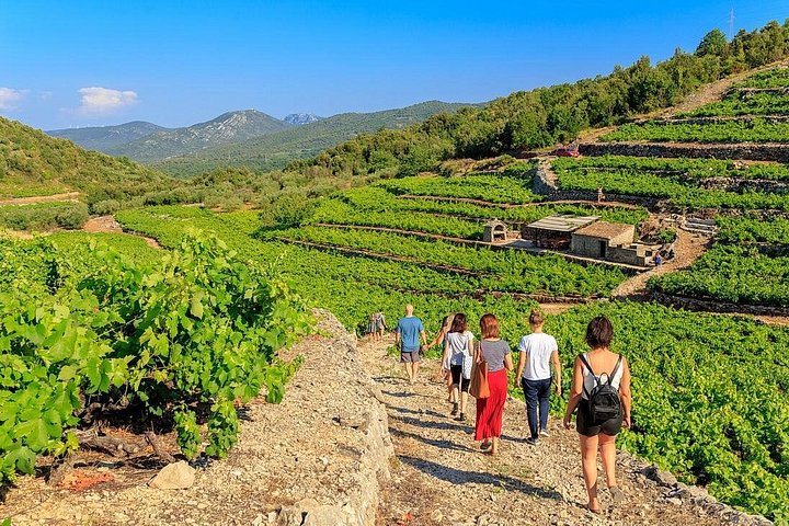 Explore Pelješac peninsula
